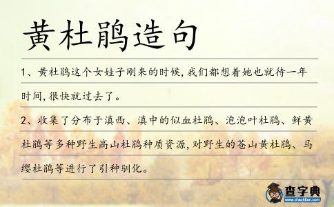 黃杜鵑造句