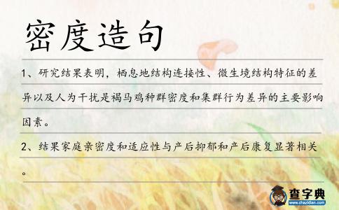 密度造句