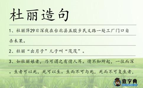 杜麗造句