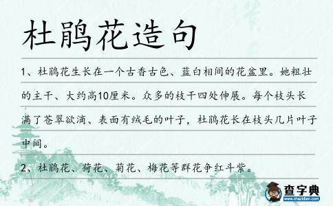 杜鵑花造句