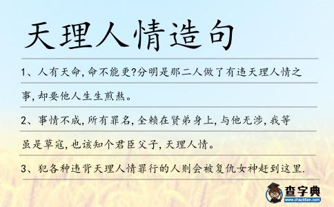 天理人情造句