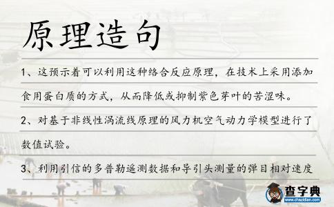 原理造句