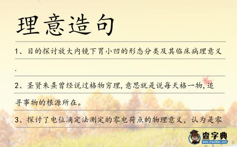 理意造句