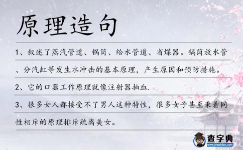 原理造句