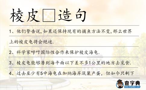 棱皮造句