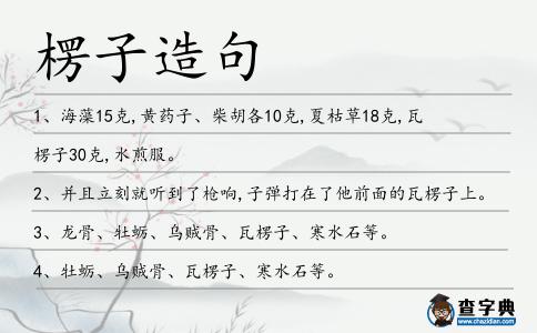 楞子造句