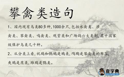 攀禽類造句