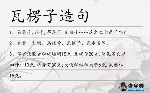 瓦楞子造句
