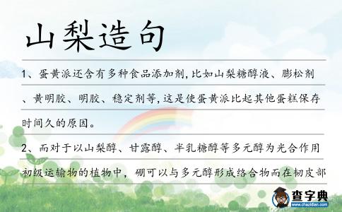山梨造句