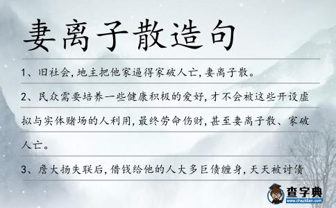 妻離子散造句