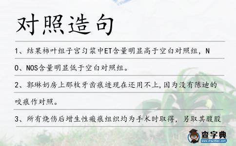 對照造句