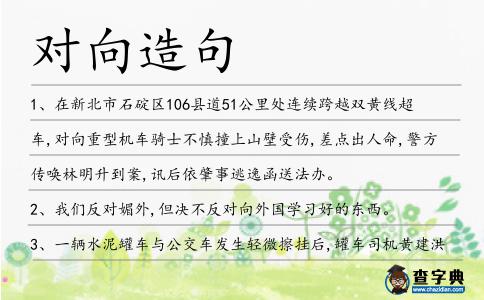 對(duì)向造句