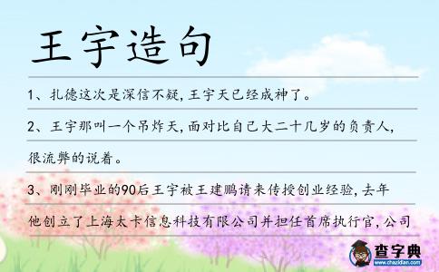 王宇造句