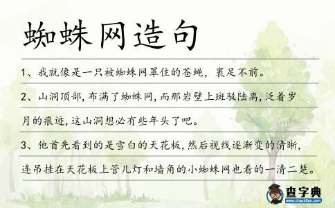 蜘蛛網造句