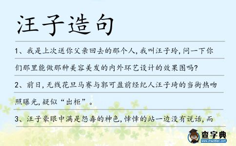 汪子造句