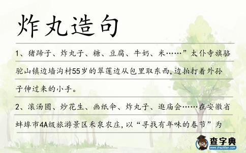 炸丸造句