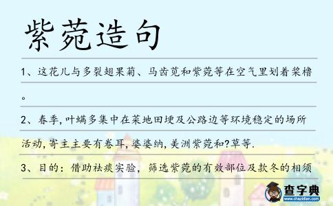 紫菀造句