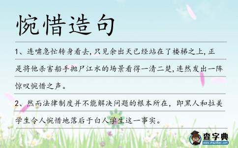 惋惜造句
