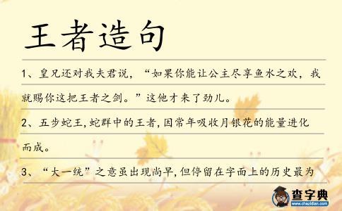 王者造句