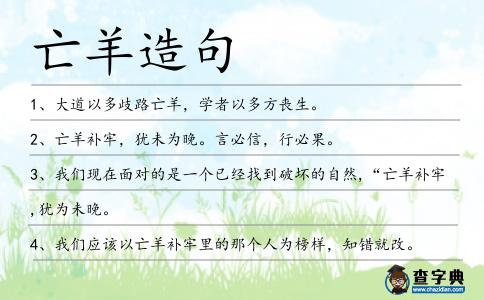 亡羊造句
