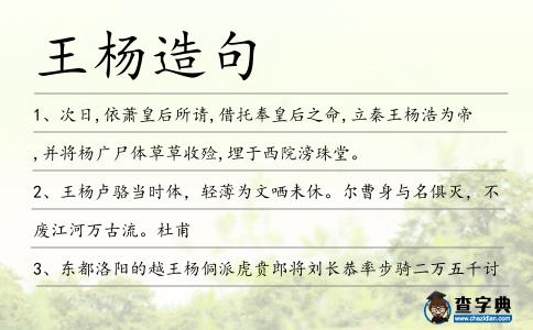 王楊造句