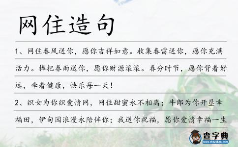 網住造句
