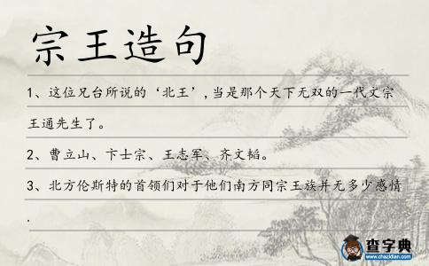 宗王造句