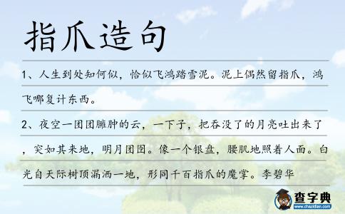 指爪造句