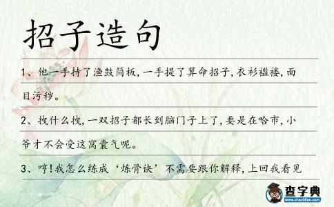 招子造句