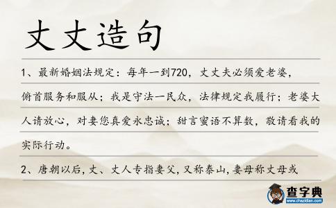 丈丈造句