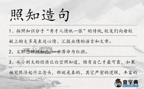 照知造句