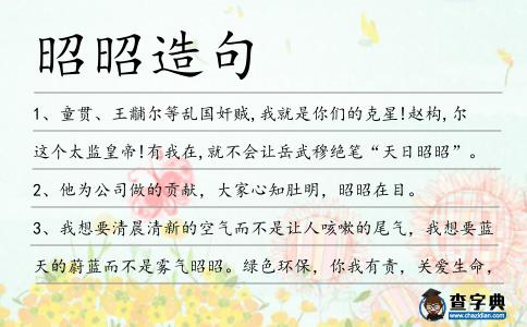 昭昭造句