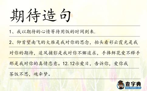 期待造句