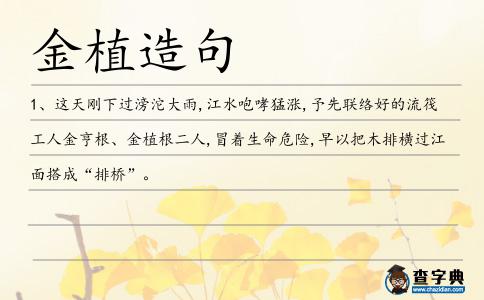 金植造句