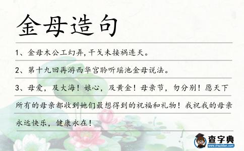 金母造句