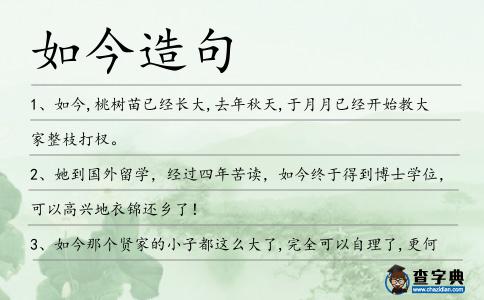 如今造句