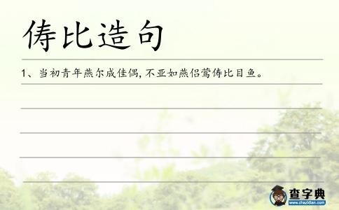 儔比造句