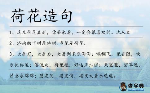 荷花造句