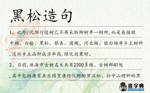 黑松造句