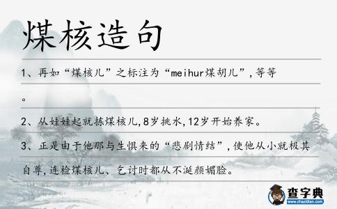 煤核造句
