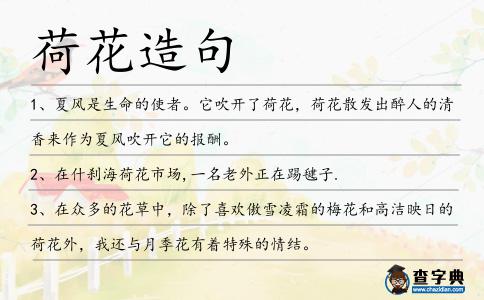 荷花造句