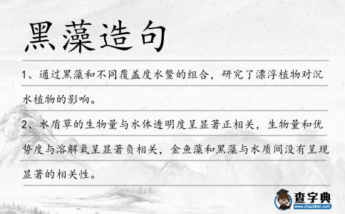 黑藻造句