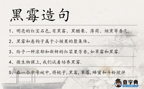 黑霉造句