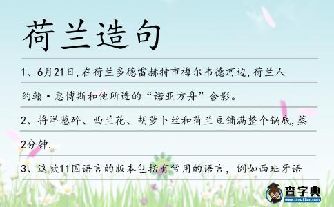 荷蘭造句