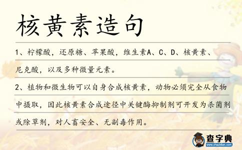 核黃素造句