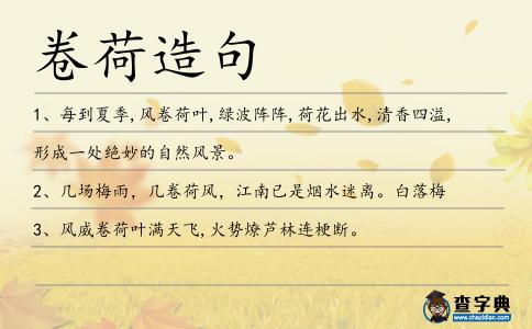 卷荷造句