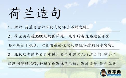 荷蘭造句