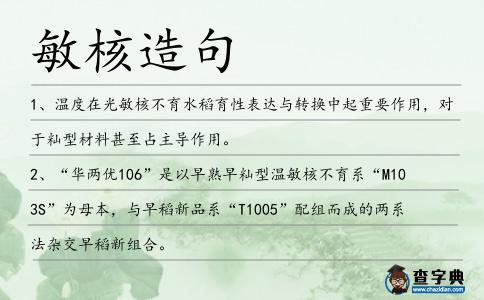 敏核造句