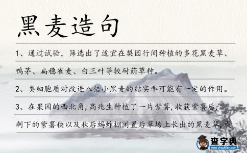 黑麥造句