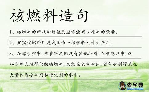 核燃料造句